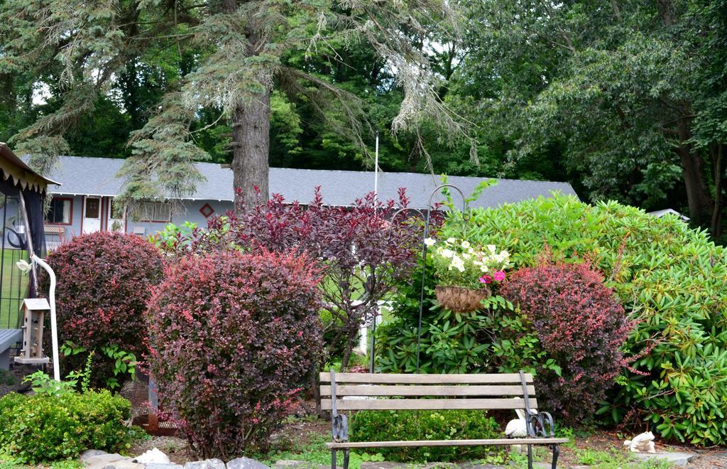 Chamber Lane Motel Round Lake Extérieur photo
